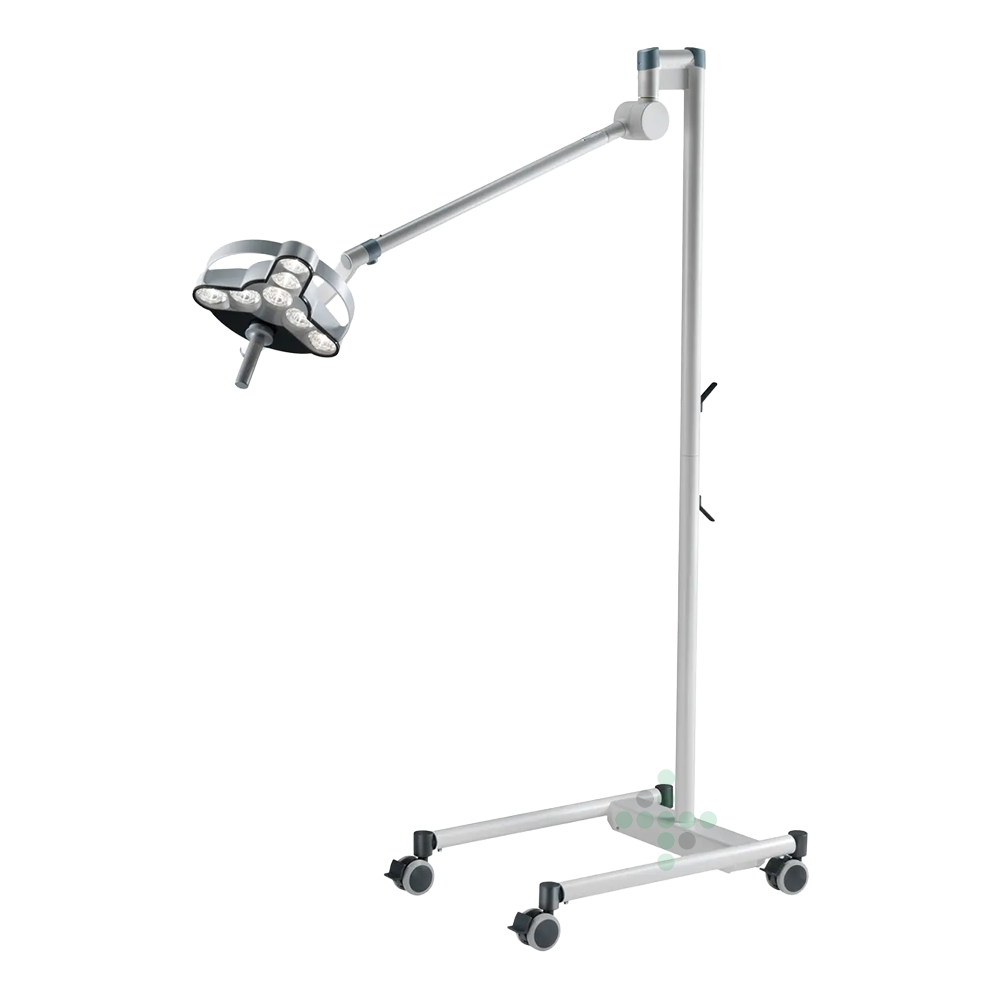 D16.132.000 00808982